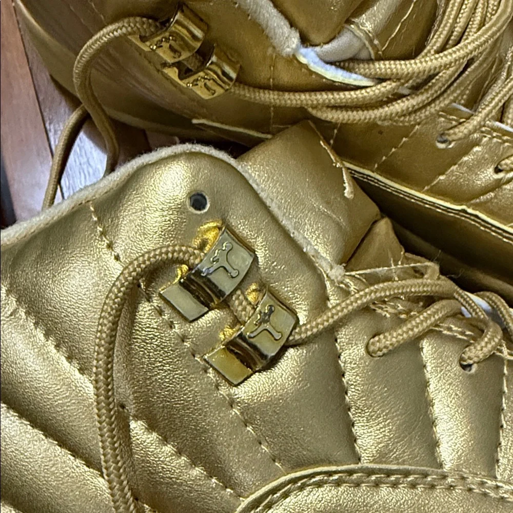Air Jordan 12 Retro 